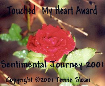 Sentimental Journey Touched My Heart Award